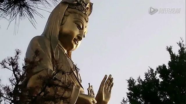 佛教宣传片《杀生》。